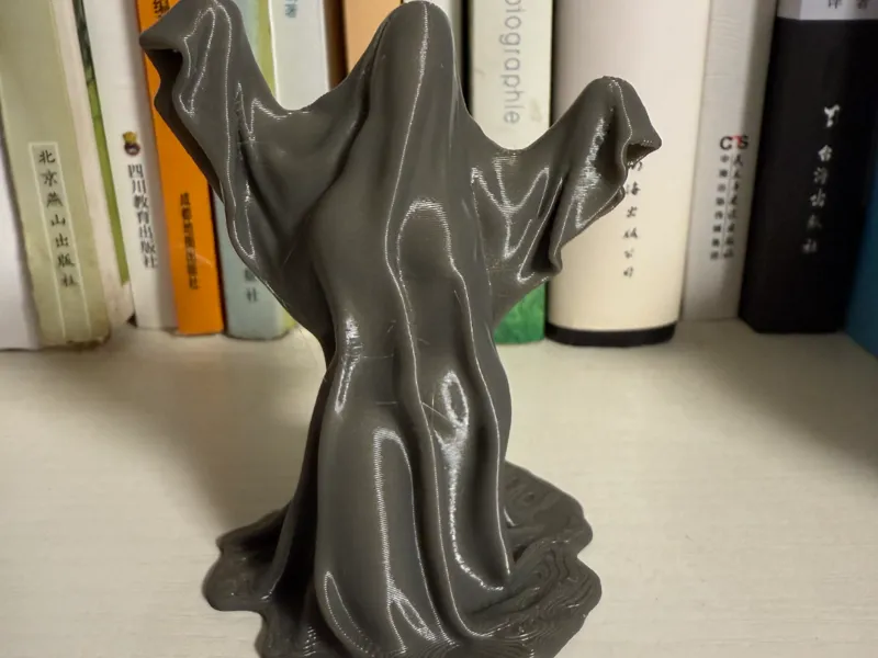 幽灵女士