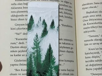 ayraç