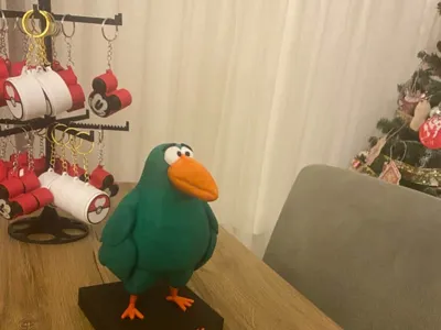 parrot pedy