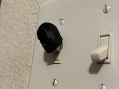 light switch cover (dwayne the rock Johnsons head)