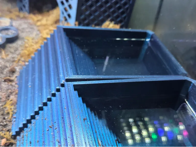 Hermit Crab Water Dish