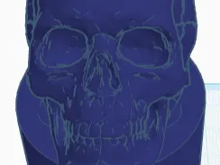 skull head-lacrosse stick but piece