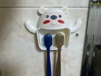 Wall-mounted Toothbrush Holder