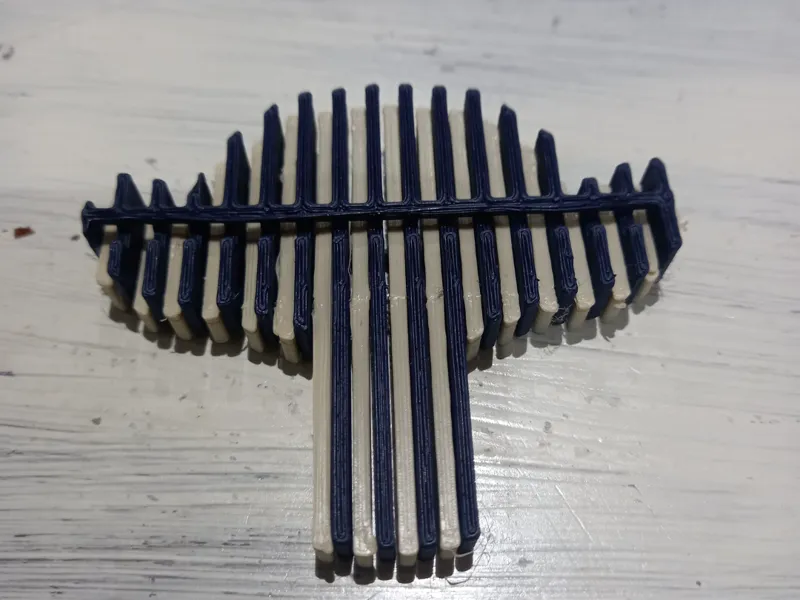 Quantum Suzzane Fidget