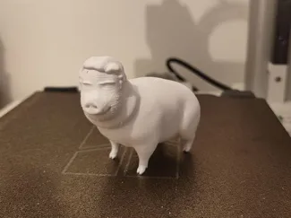 Nikita Boar