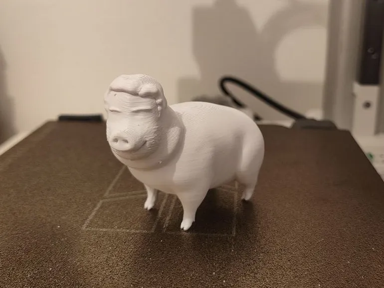 Nikita Boar