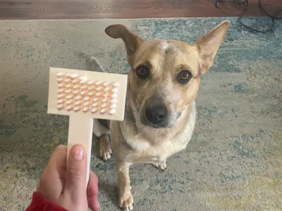 Dog/pet brush (strong bristles)