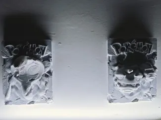 双弹瓦斯阿柏怪-化石立体浮雕
