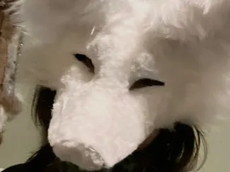 Demis therian mask (NOT MINE)