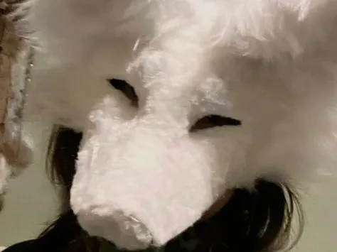 Demis therian mask (NOT MINE)