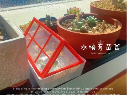 https://makerworld.bblmw.com/makerworld/model/DSM00000002239312/design/2026-01-13_cf14c076170f48.jpeg