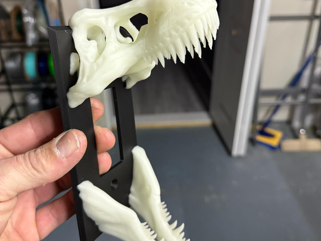 T Rex Rectangular Light Switch Cover