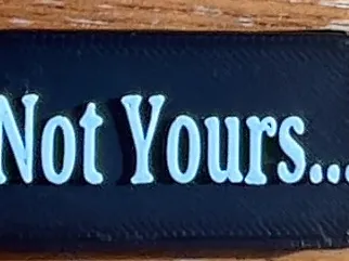Not Yours Keychain