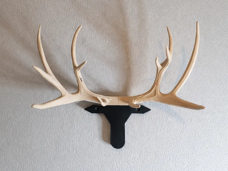 Väggmonterat ren horn