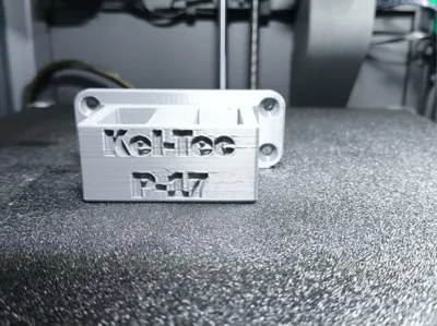 Kel Tec P17 mag holder