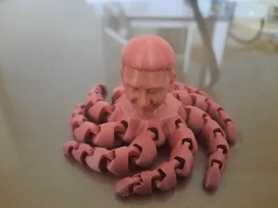 octopus own your head