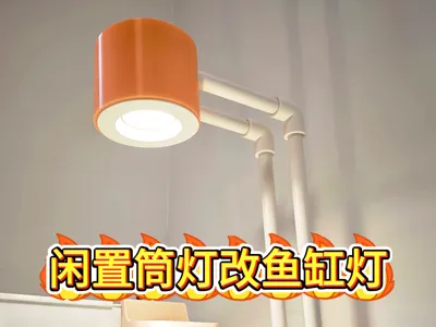 Converting an Idle Downlight into a Top-Mounted Aquarium Light