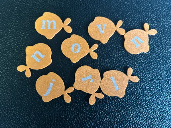 https://makerworld.bblmw.com/makerworld/model/DSM00000002249061/design/2026-01-15_8dfae43011a31.jpeg