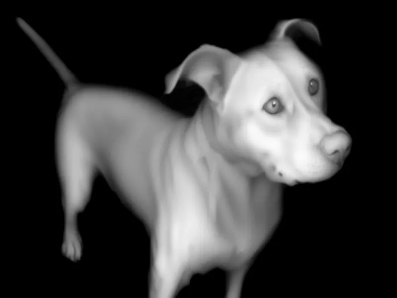 dog