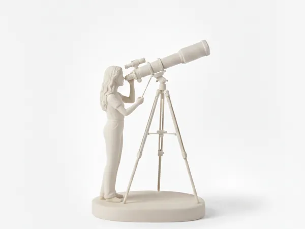 https://makerworld.bblmw.com/makerworld/model/DSM00000002250987/design/2026-01-15_25a90b77e527e8.png