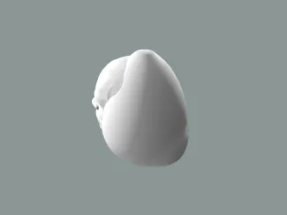 dweg