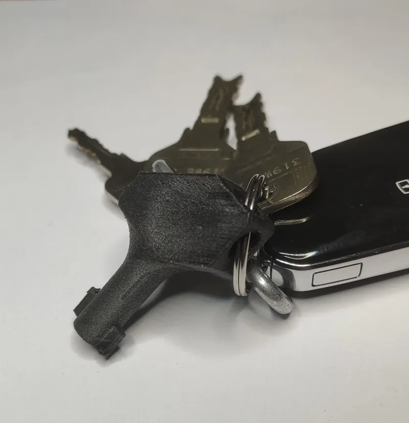 Switch cabinet keychain