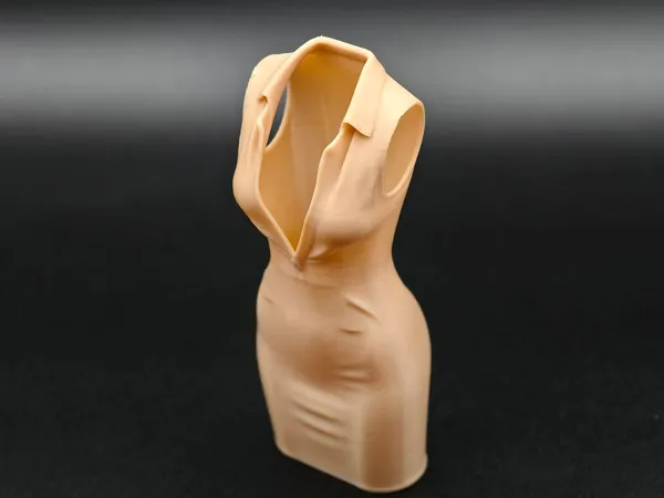 https://makerworld.bblmw.com/makerworld/model/DSM00000002255397/design/2026-01-08_6e49d3ecc72778.jpg