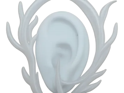 SILICONE EAR DISPLAY @STUDIOSELVAS