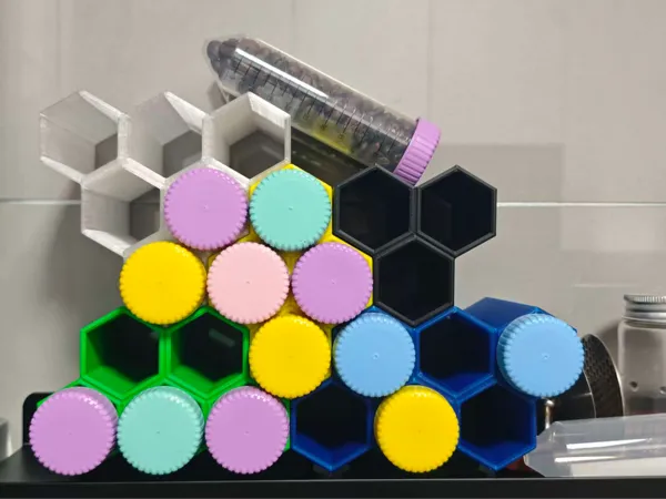 https://makerworld.bblmw.com/makerworld/model/DSM00000002255860/design/2026-01-17_b0e4c420a1df6.jpg