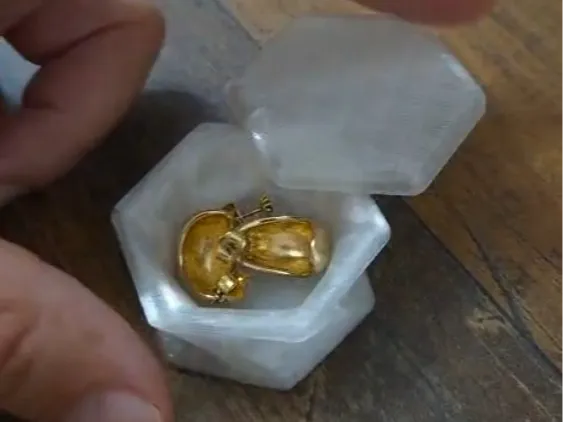 https://makerworld.bblmw.com/makerworld/model/DSM00000002259928/design/2026-01-18_29a016c49ac048.jpg