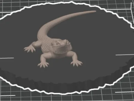 Bearded Dragon on a Black Base