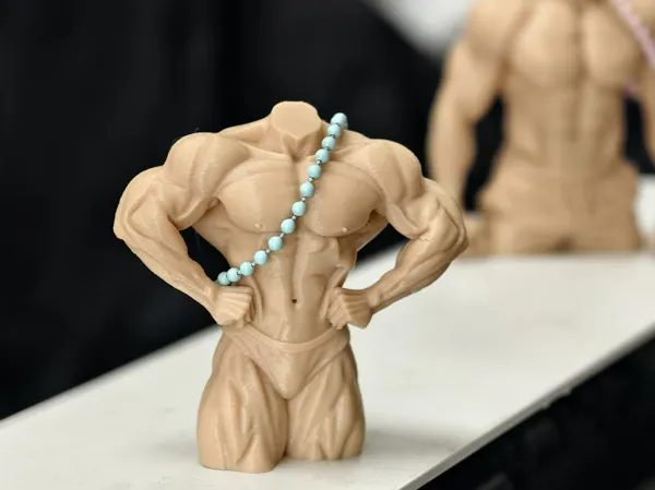 https://makerworld.bblmw.com/makerworld/model/DSM00000002260169/design/2026-01-17_13efad46a9078.jpg