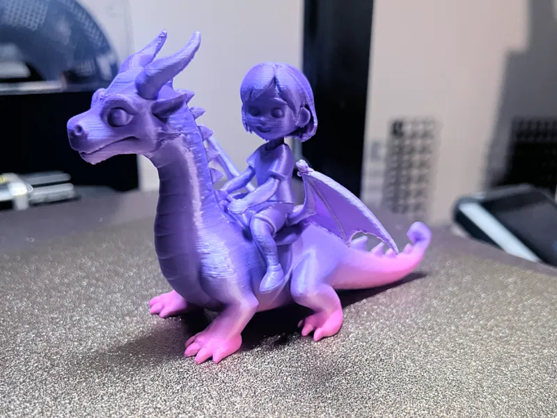 Joyful Girl Dragon Rider