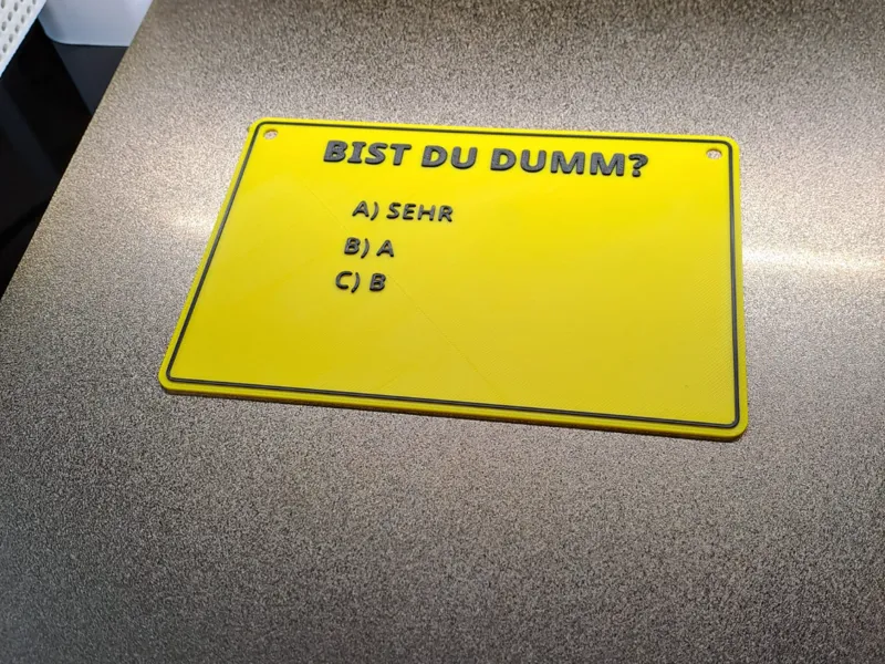 Schild Bist du Dumm