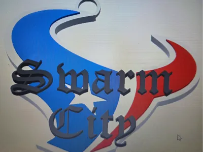 Houston Texans Swarm City Chain