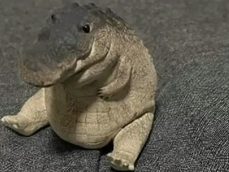 Cocodrilo gordito meme
