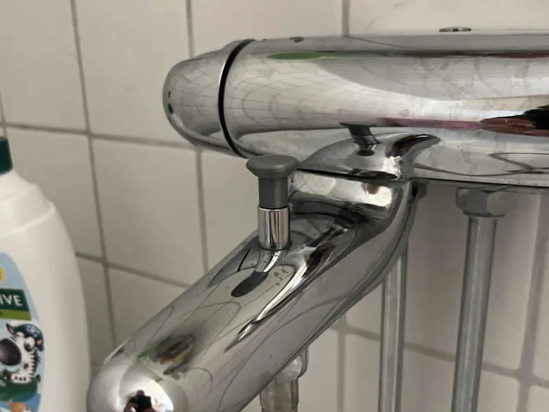 Shower switch