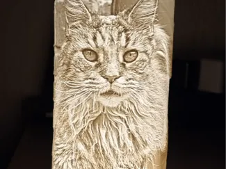 Katzen, Maine-Coon Lithophane