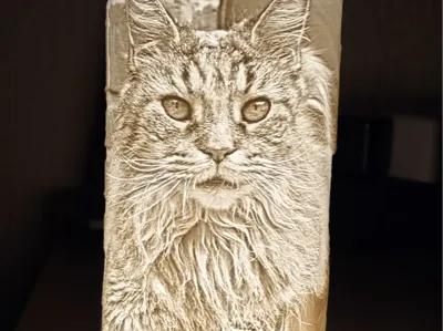 Cats, Maine Coon lithophane
