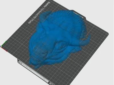 Bison Head