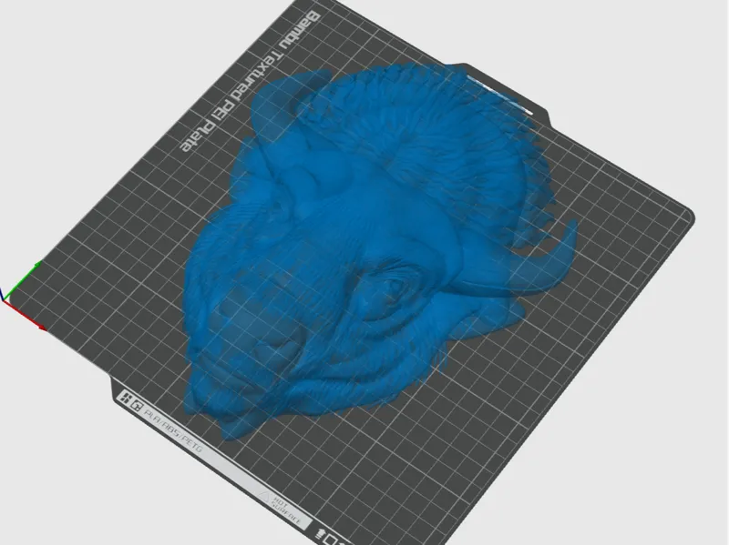 Bison Head