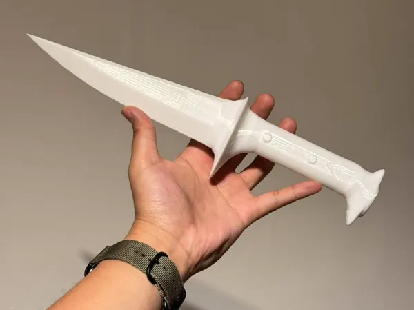 https://makerworld.bblmw.com/makerworld/model/DSM00000002266476/design/2024-10-31_1719752832e2f.jpg