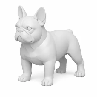 French bulldog