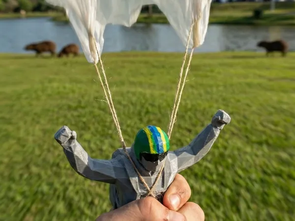 https://makerworld.bblmw.com/makerworld/model/DSM00000002267910/design/2026-01-19_a928f053bef488.jpg