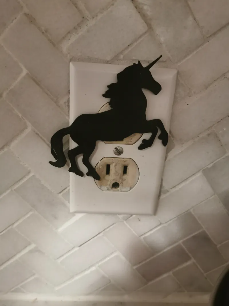 Unicorn single plug cover
