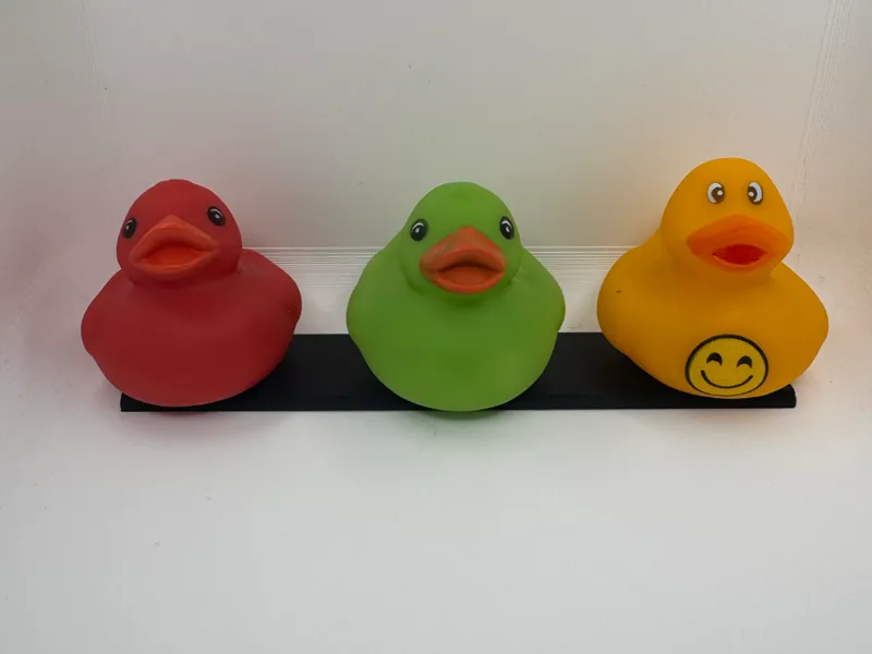 Dashboard duck display