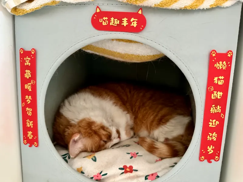 猫窝马年对联(春联)- 双色 - AMS可选