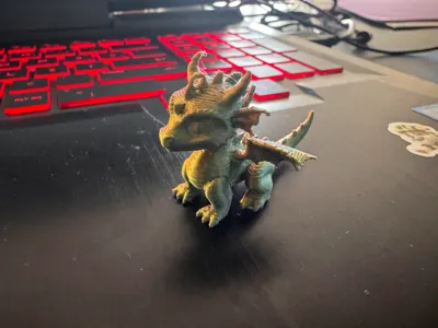 Krakow Dragon