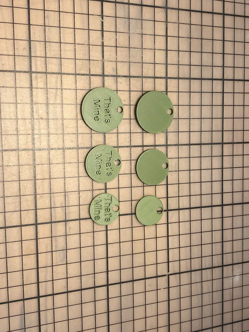 Switzerland Pocket Coin's for Keychain