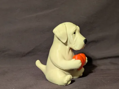 greatdane holding heart